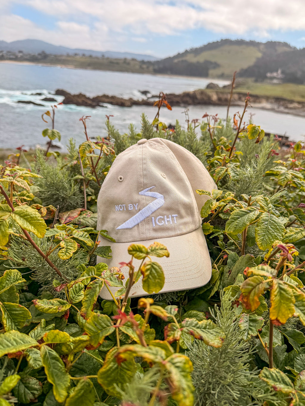 Not X Sight Original Cap - Beige