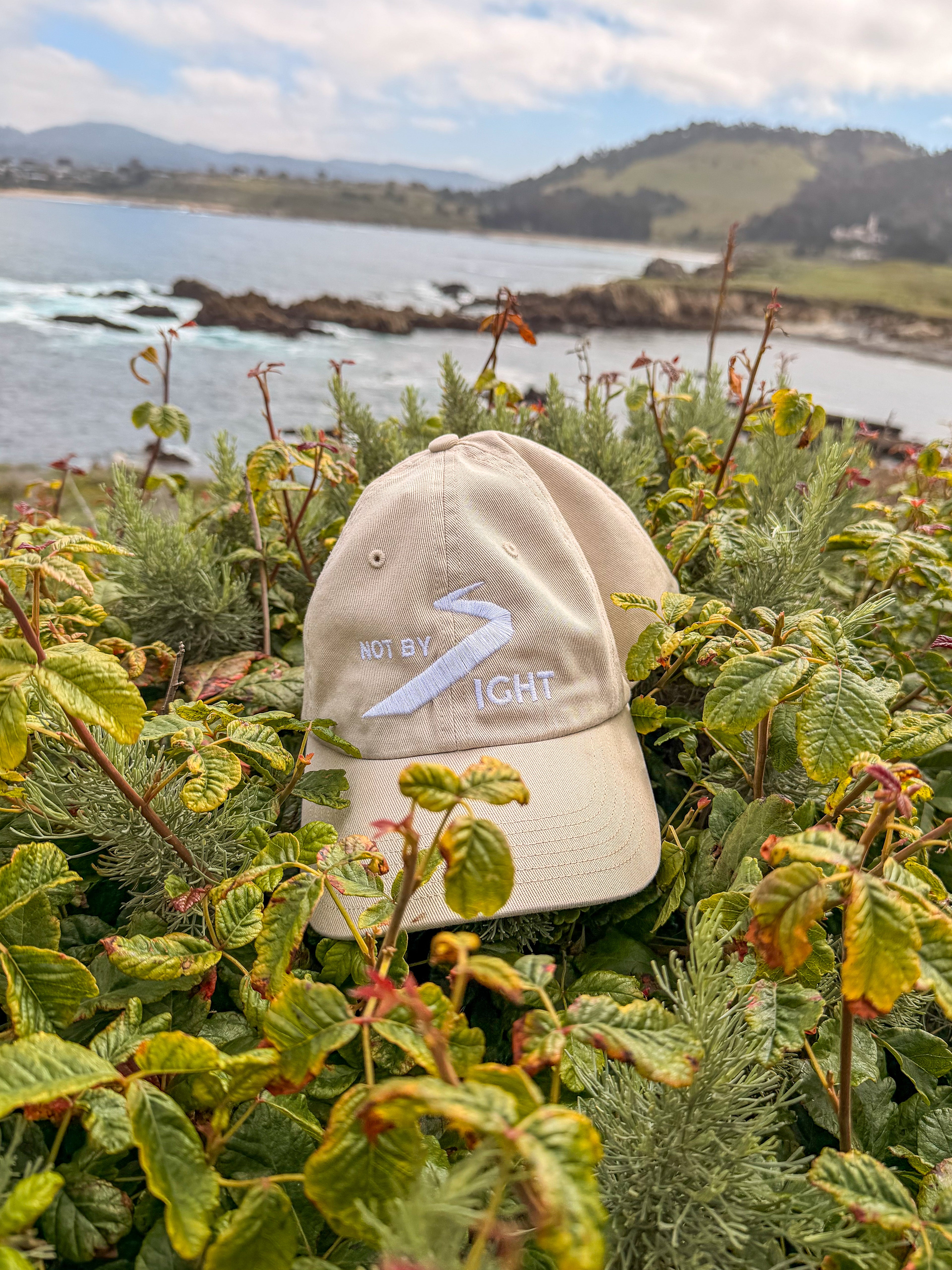 Not X Sight Original Cap - Beige
