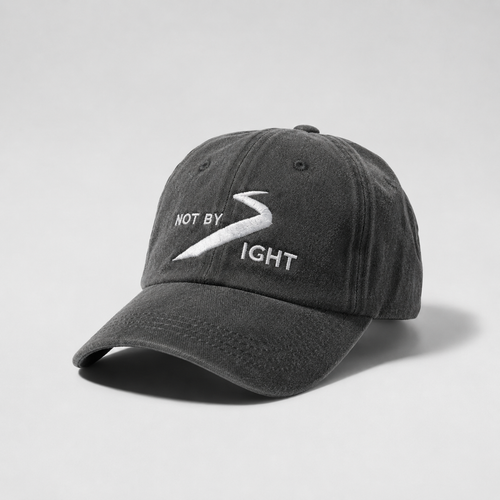 Not X Sight Original Cap - Gray